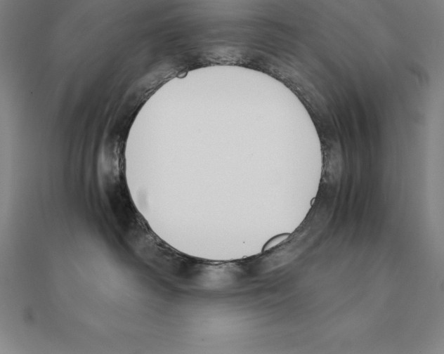 X0000110320334200906181828