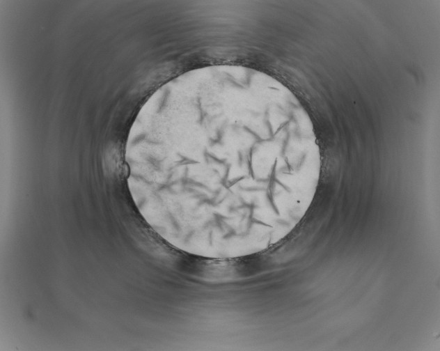 X0000110320335200906181828