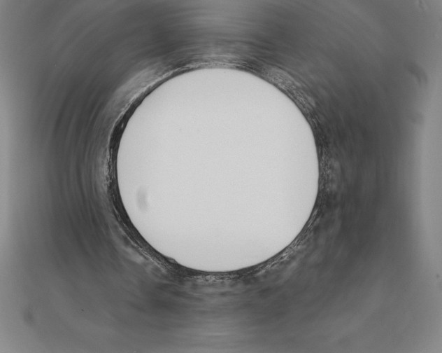 X0000110320338200906181828