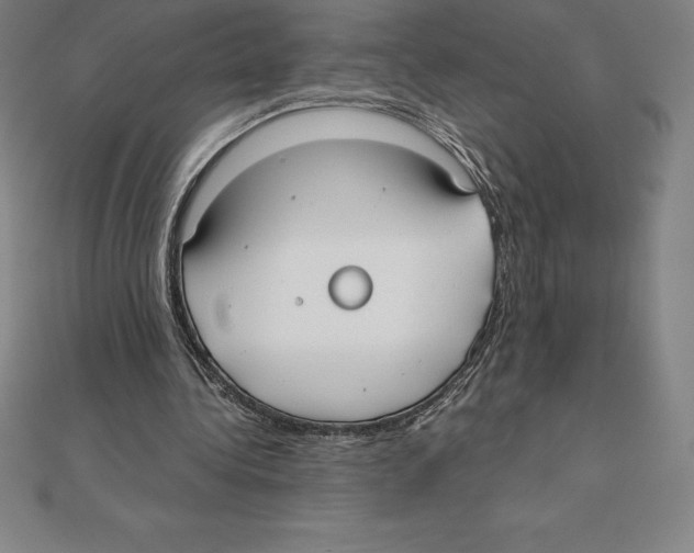 X0000110320340200906181828