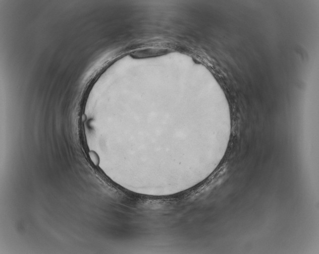 X0000110320341200906181828