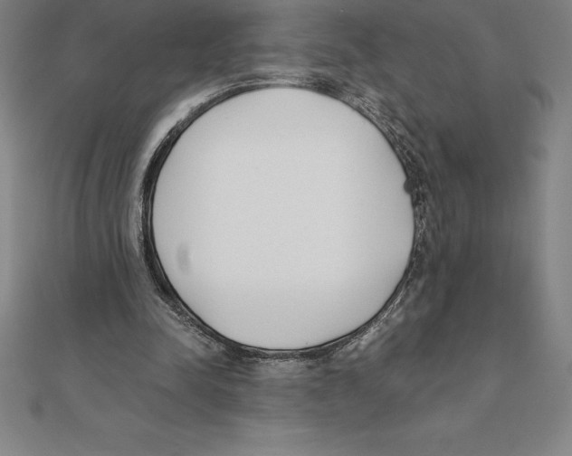 X0000110320342200906181828