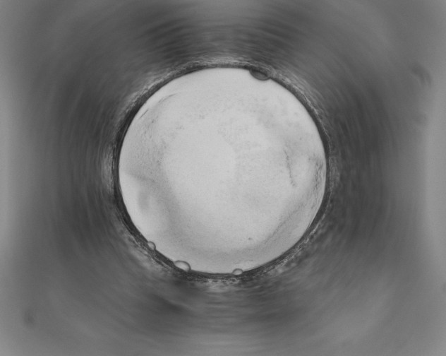 X0000110320345200906181828