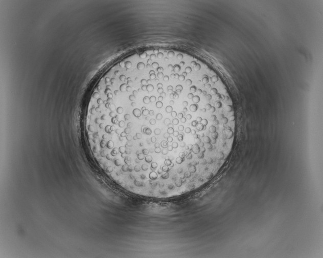 X0000110320346200906181828