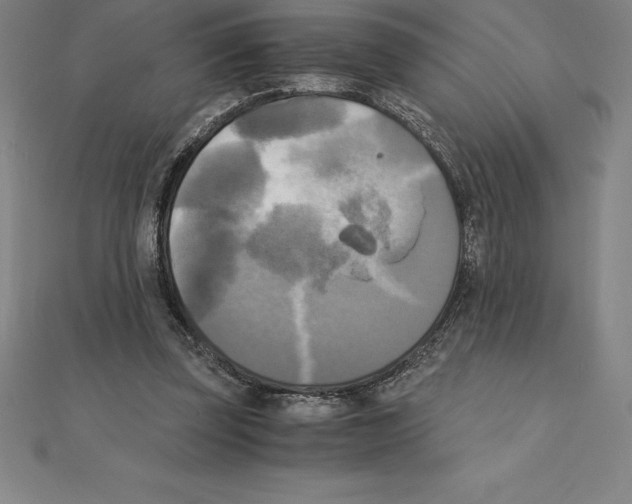 X0000110320347200906181828