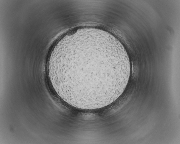 X0000110320348200906181828