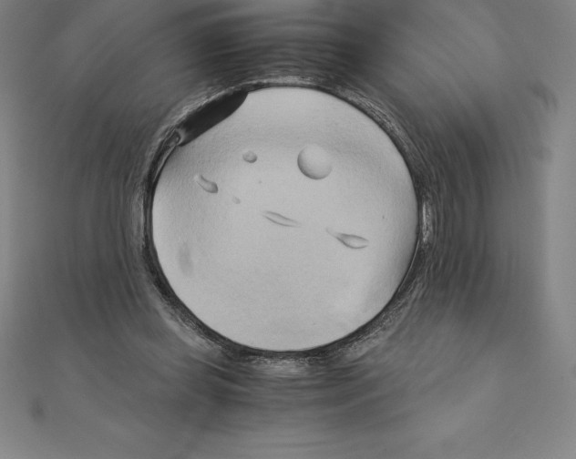 X0000110320349200906181828