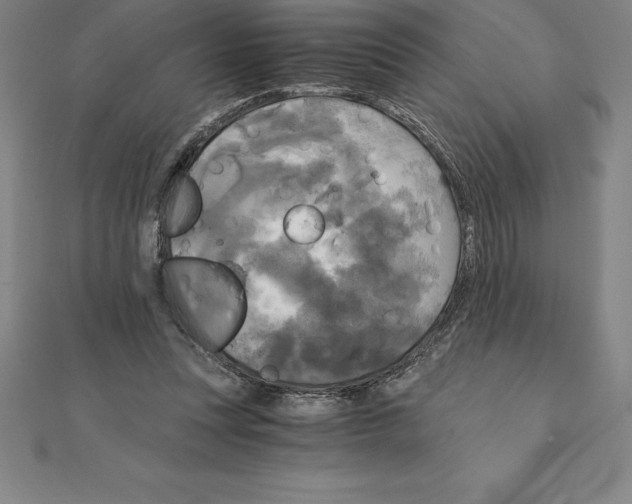 X0000110320351200906181828