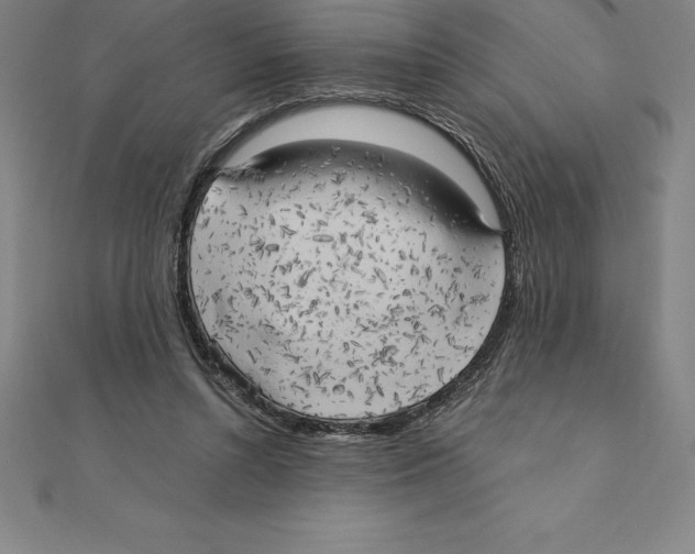 X0000110320352200906181828