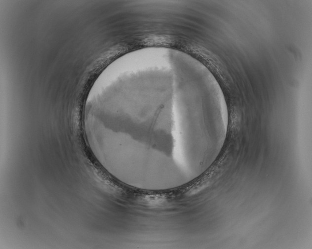 X0000110320353200906181828