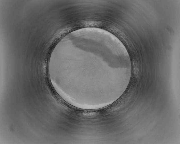 X0000110320357200906181828