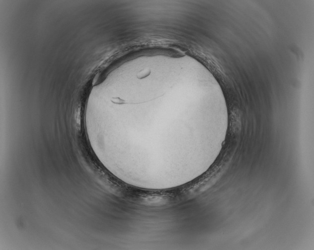 X0000110320358200906181828