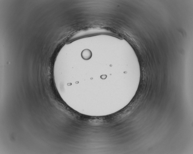 X0000110320362200906181828