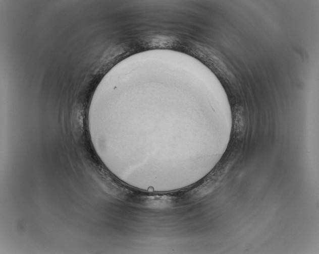 X0000110320363200906181828