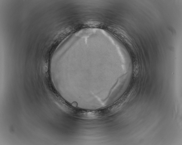 X0000110320365200906181828