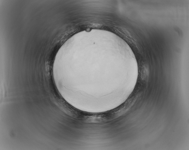 X0000110320366200906181828