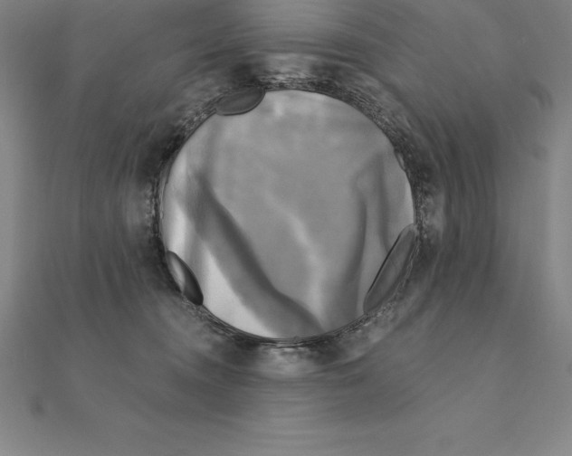 X0000110320372200906181828