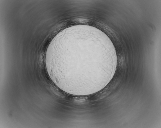 X0000110320373200906181828