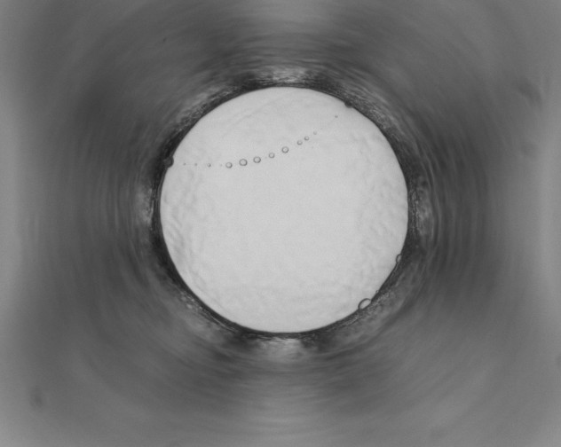 X0000110320374200906181828