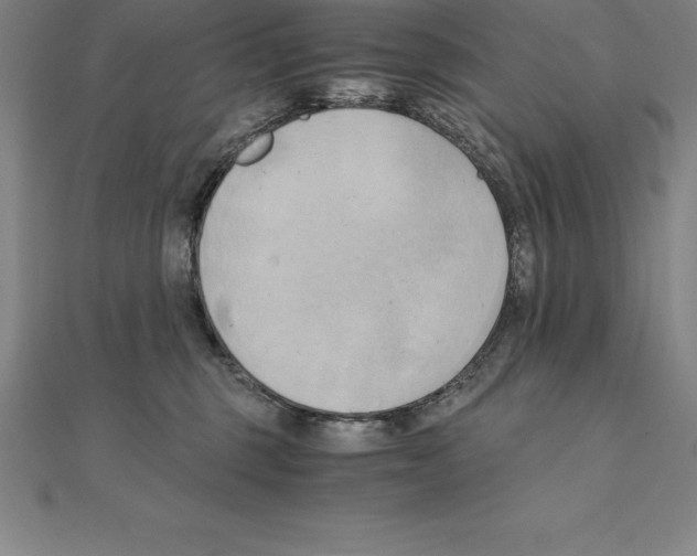 X0000110320375200906181828