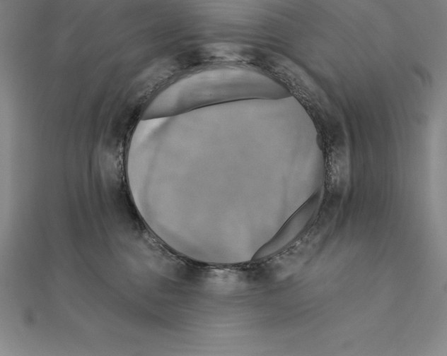 X0000110320376200906181828