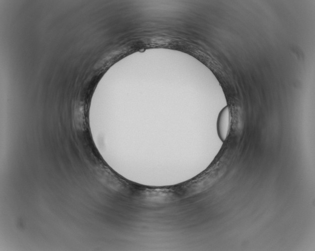 X0000110320378200906181828