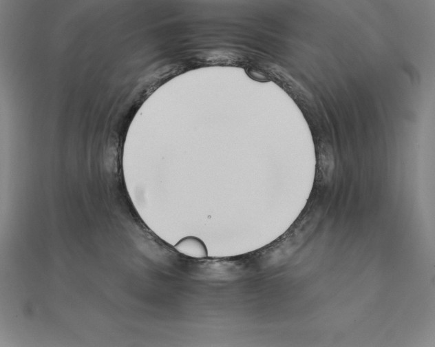 X0000110320379200906181828