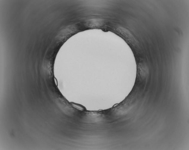 X0000110320380200906181828