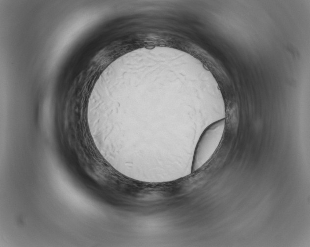 X0000110320381200906181828