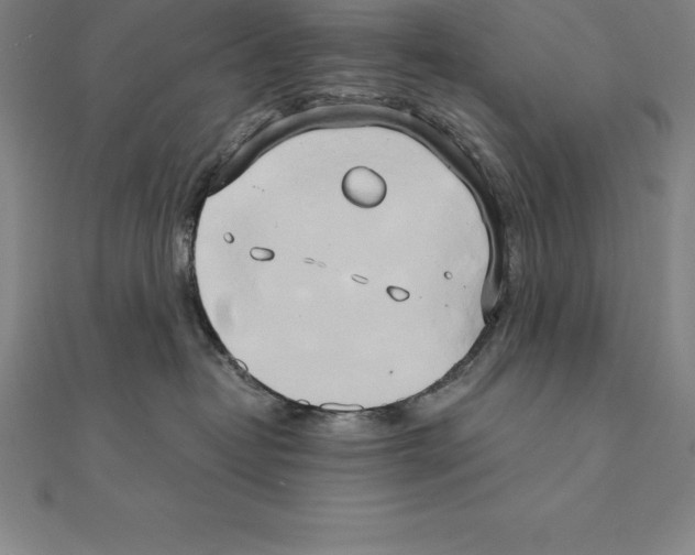 X0000110320382200906181828