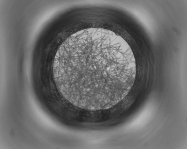 X0000110320383200906181828