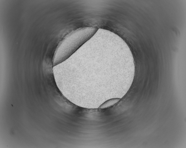 X0000110320384200906181828