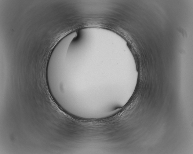 X0000110320385200906181828