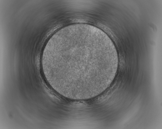 X0000110320386200906181828