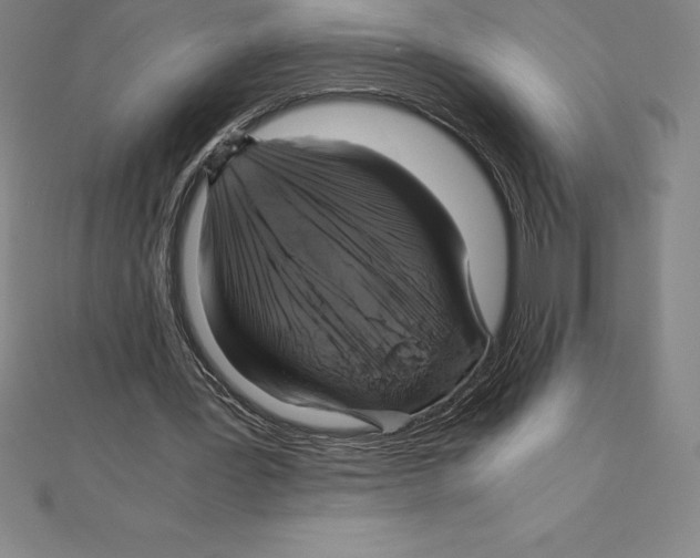 X0000110320387200906181828