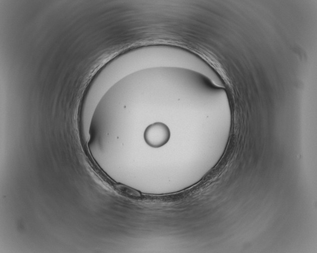 X0000110320389200906181828