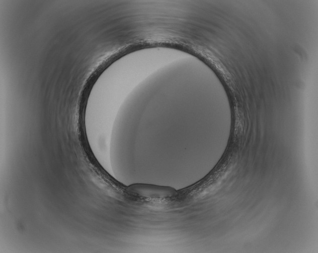 X0000110320391200906181828