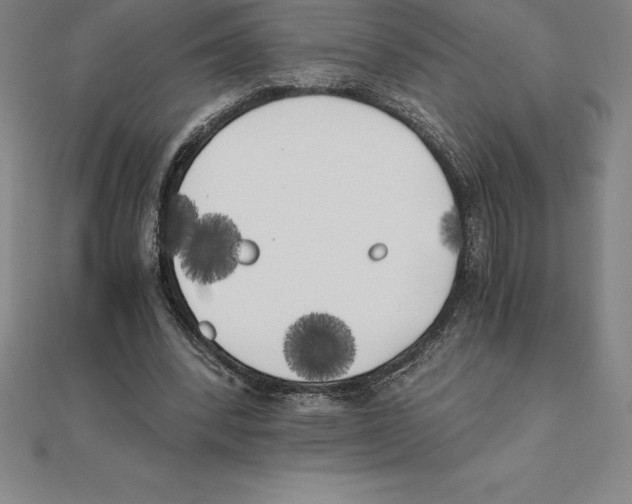 X0000110320392200906181827