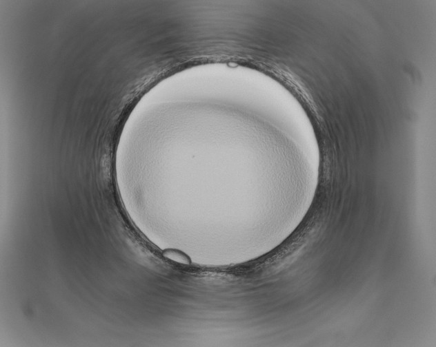 X0000110320393200906181827