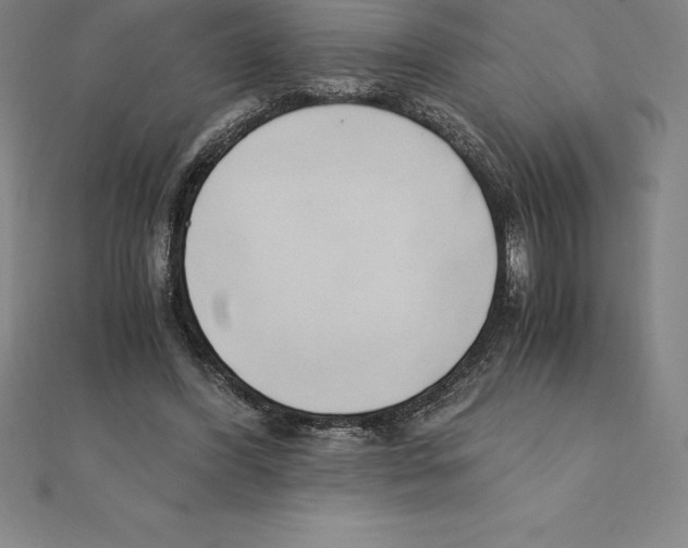 X0000110320396200906181827