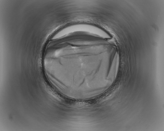 X0000110320399200906181827