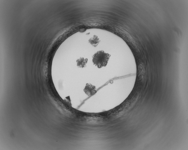 X0000110320400200906181827