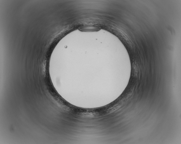 X0000110320404200906181827