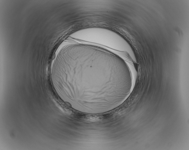 X0000110320405200906181827