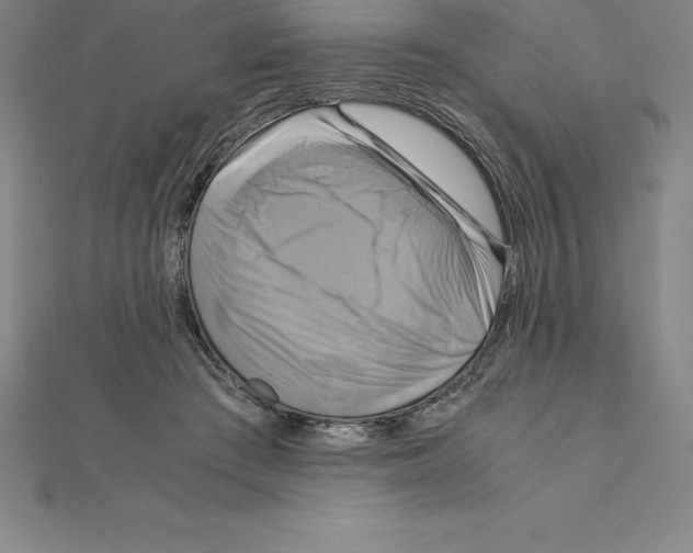 X0000110320409200906181827