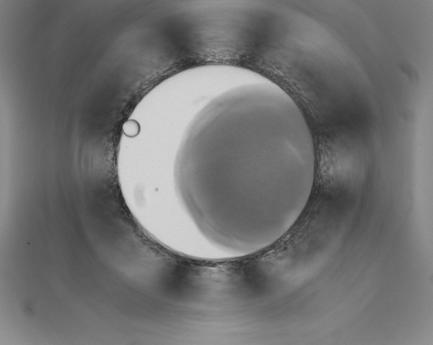 X0000110320411200906181827