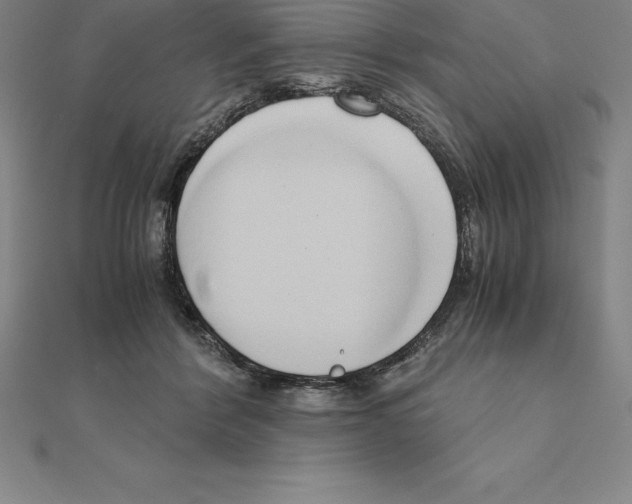 X0000110320412200906181827