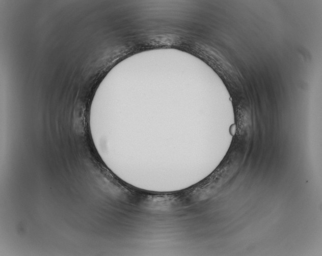 X0000110320414200906181827