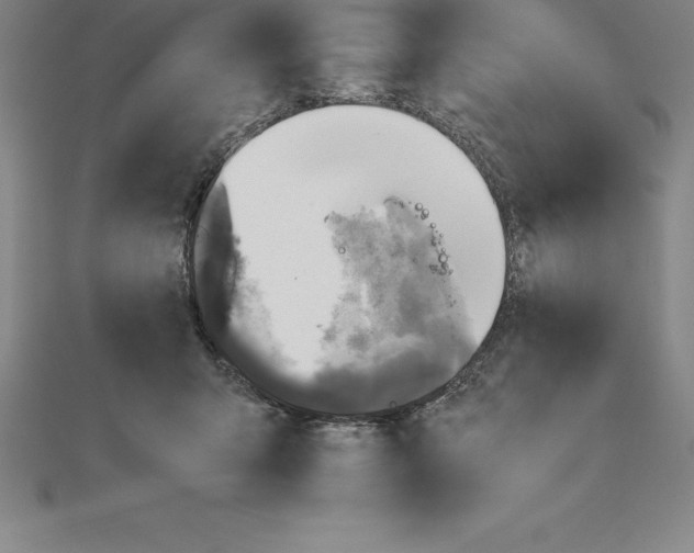 X0000110320415200906181827