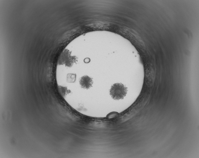 X0000110320416200906181827